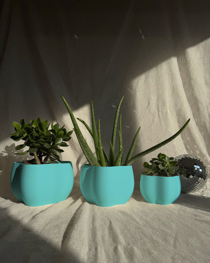 EDEN PLANTER
