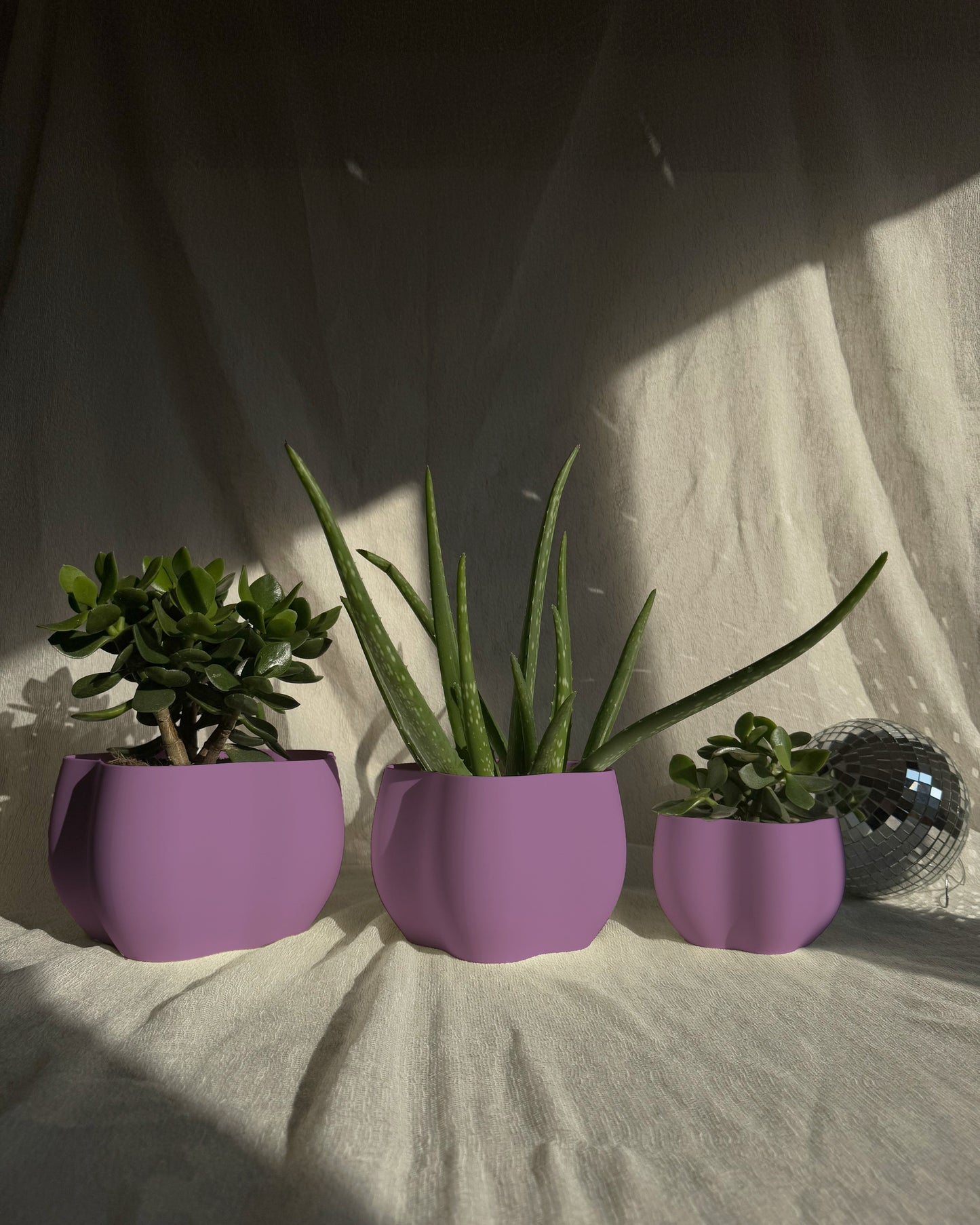 EDEN PLANTER
