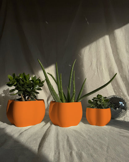 EDEN PLANTER