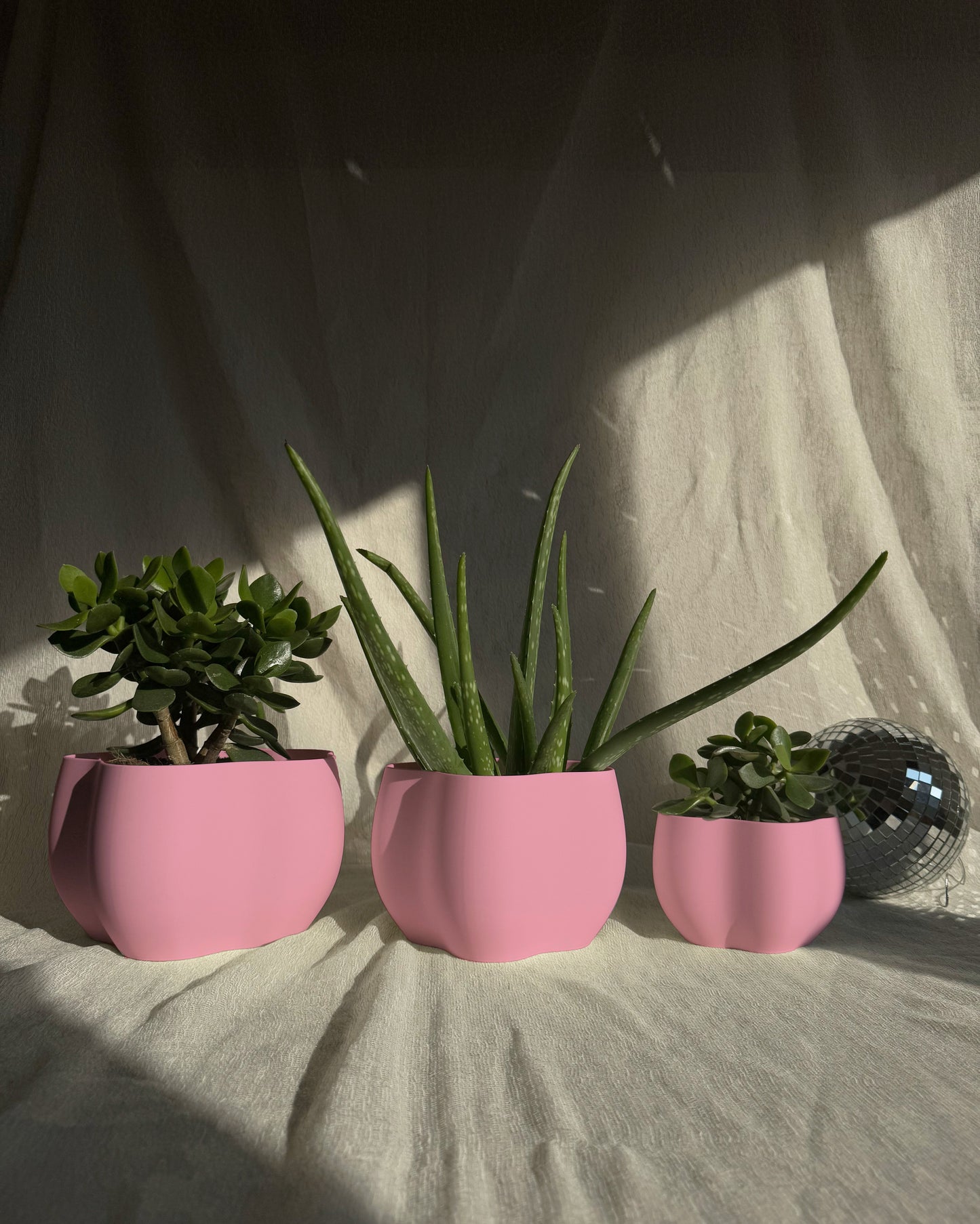 EDEN PLANTER