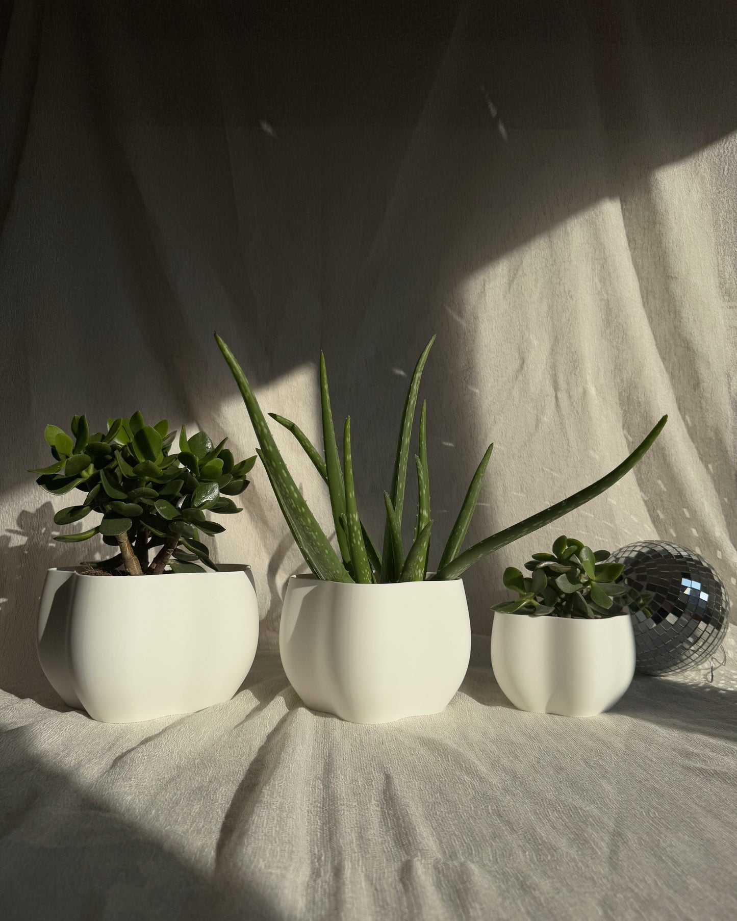 EDEN PLANTER
