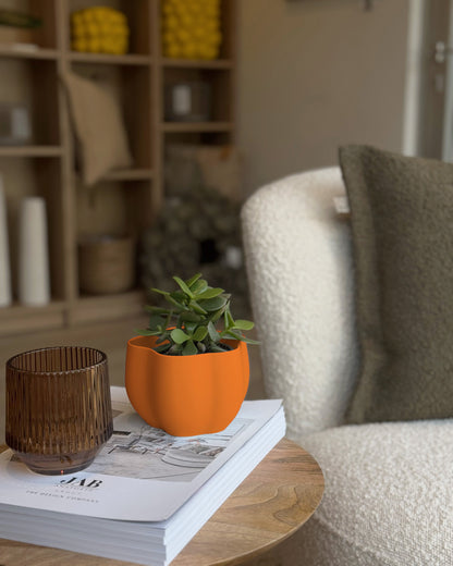 EDEN PLANTER