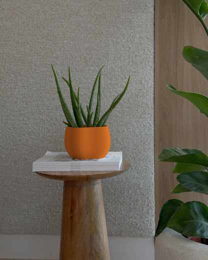 EDEN PLANTER