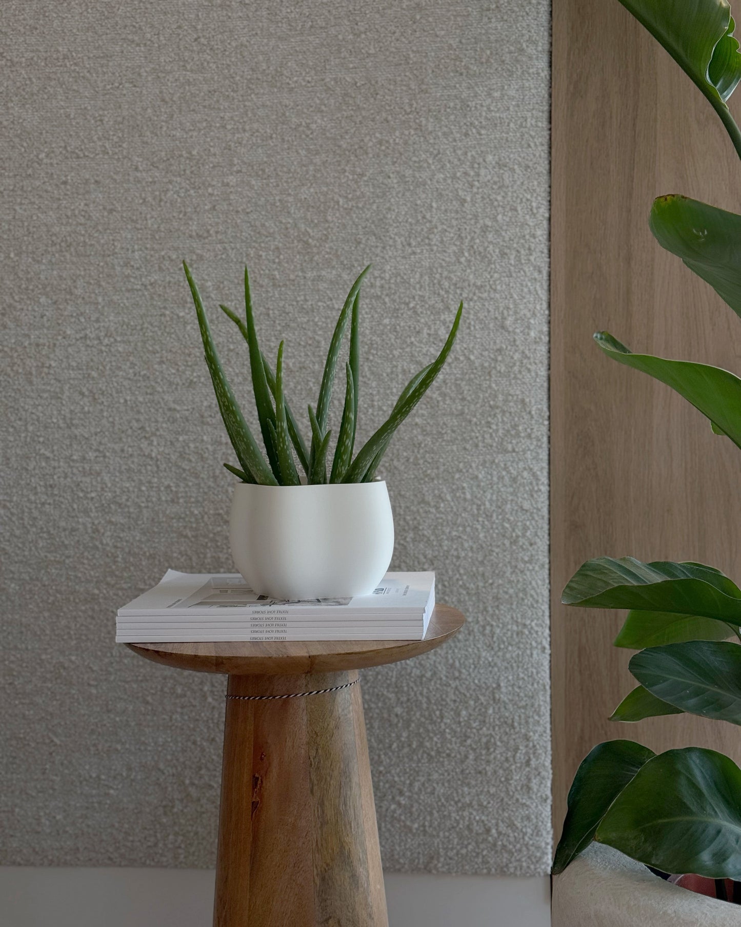 EDEN PLANTER