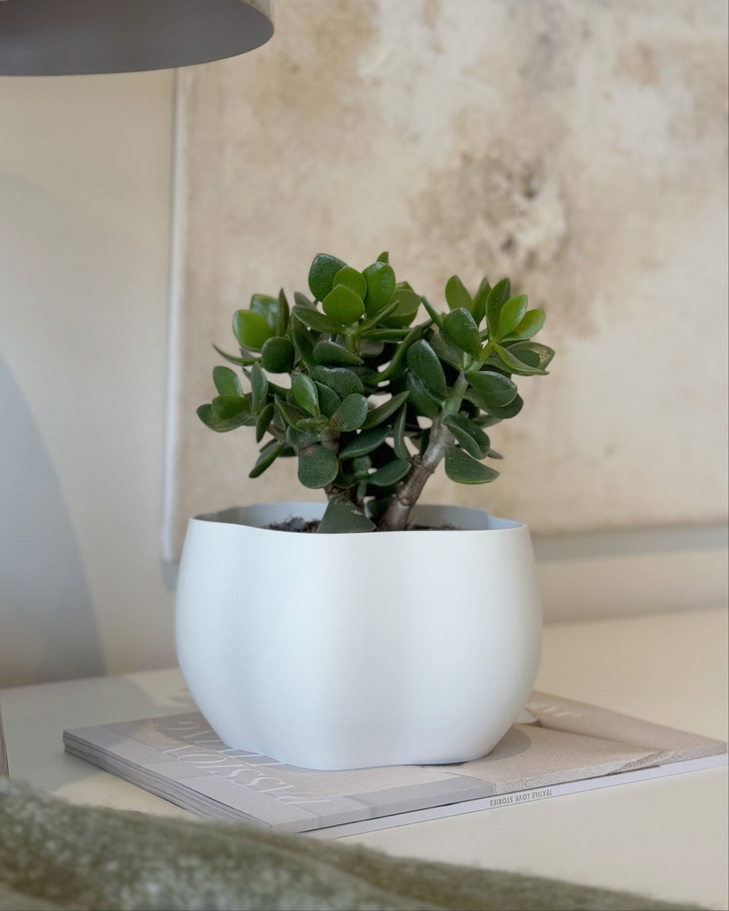 EDEN PLANTER