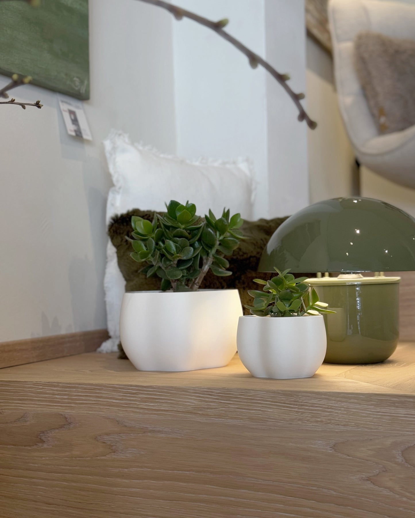 EDEN PLANTER