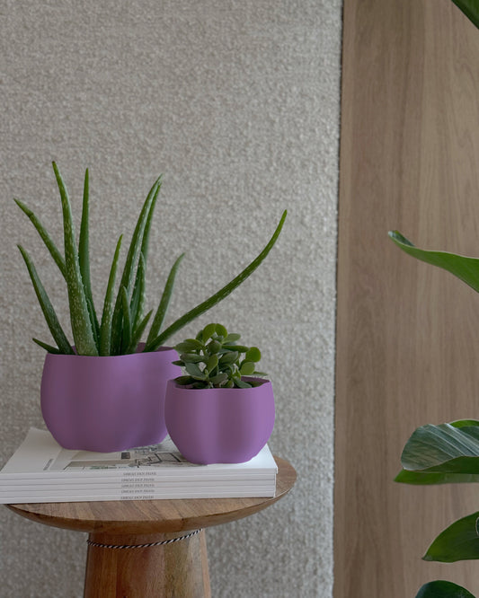 EDEN PLANTER