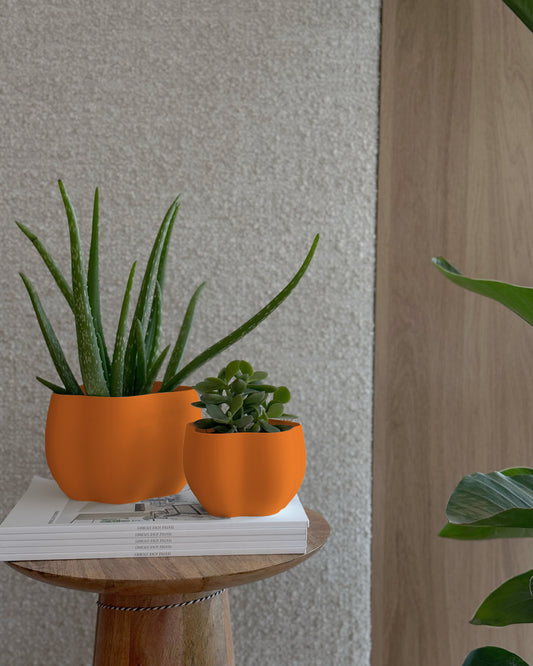 EDEN PLANTER