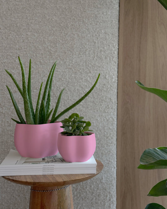 EDEN PLANTER