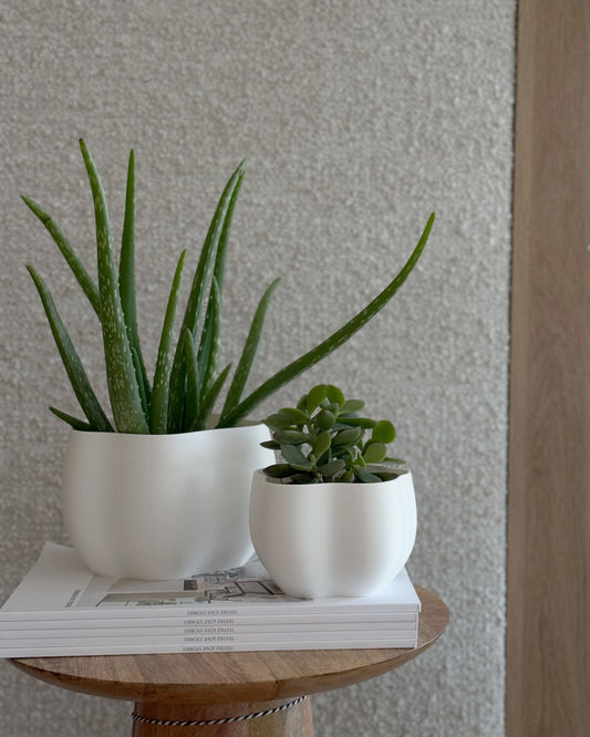 EDEN PLANTER