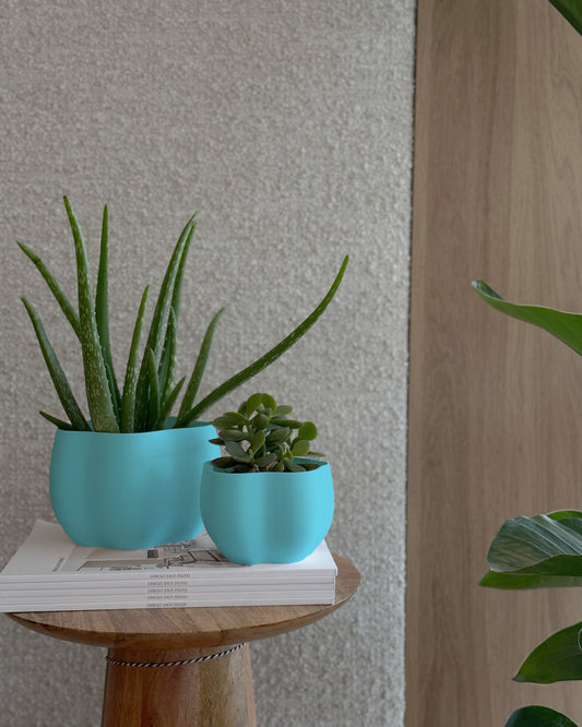 EDEN PLANTER