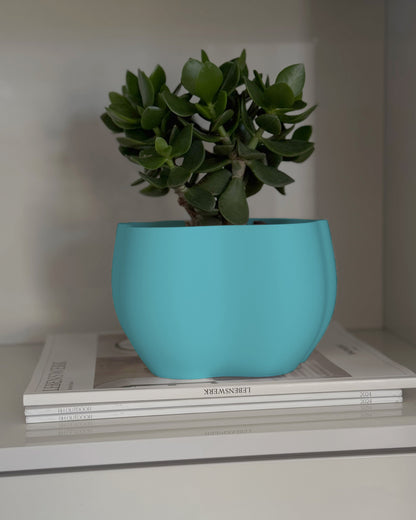 EDEN PLANTER