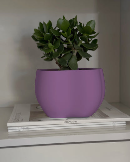 EDEN PLANTER