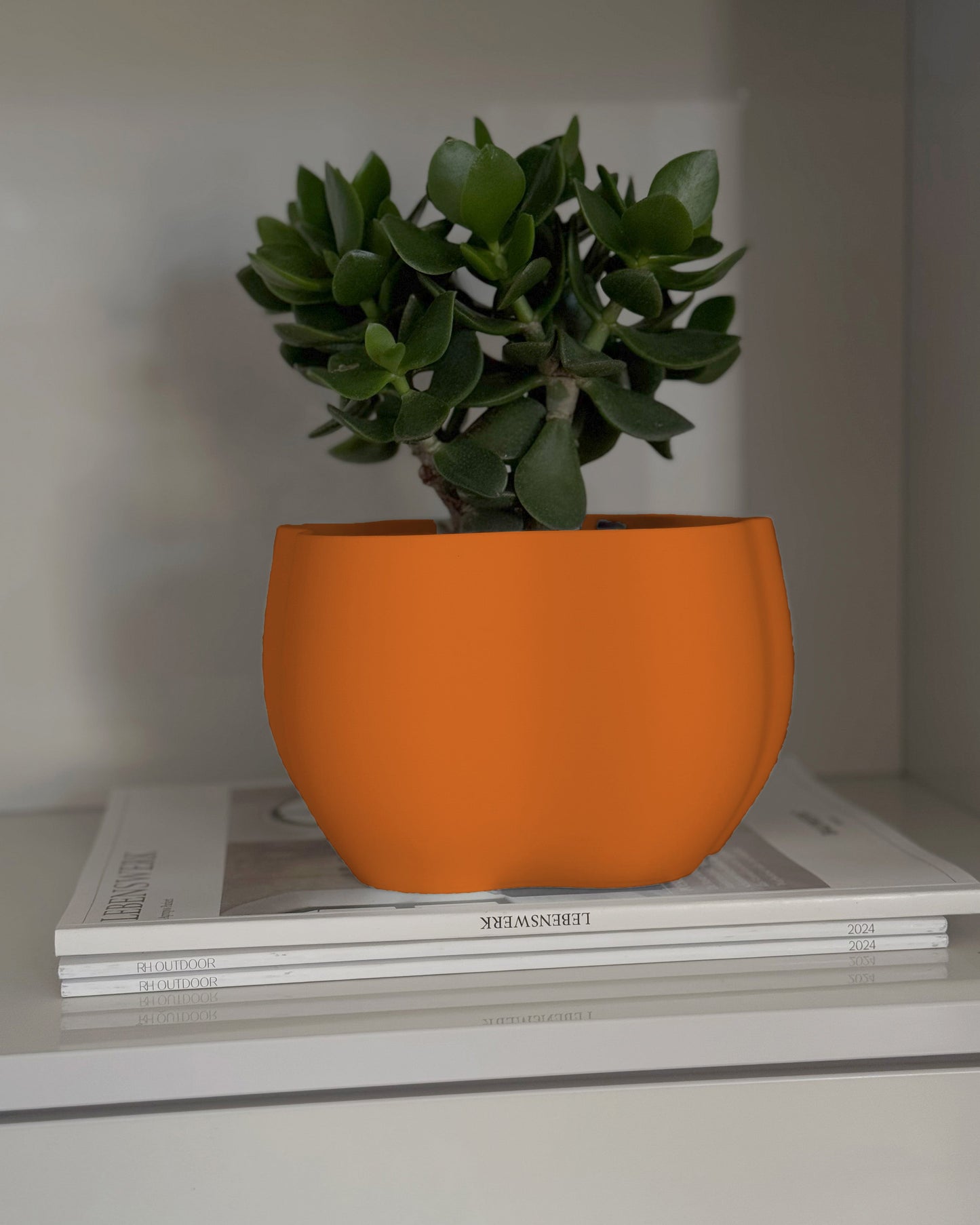 EDEN PLANTER