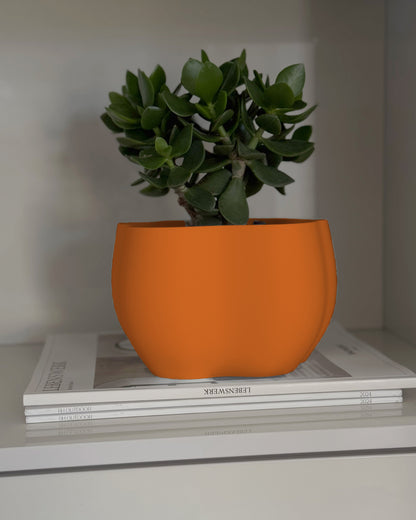 EDEN PLANTER