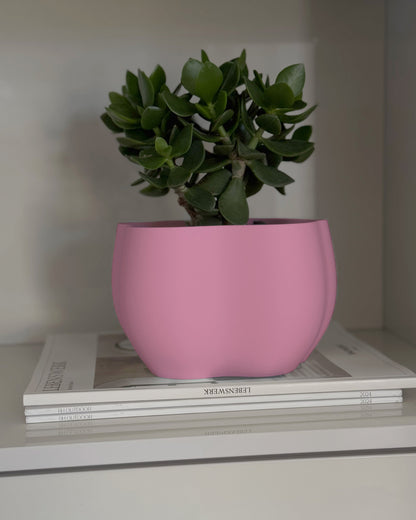 EDEN PLANTER